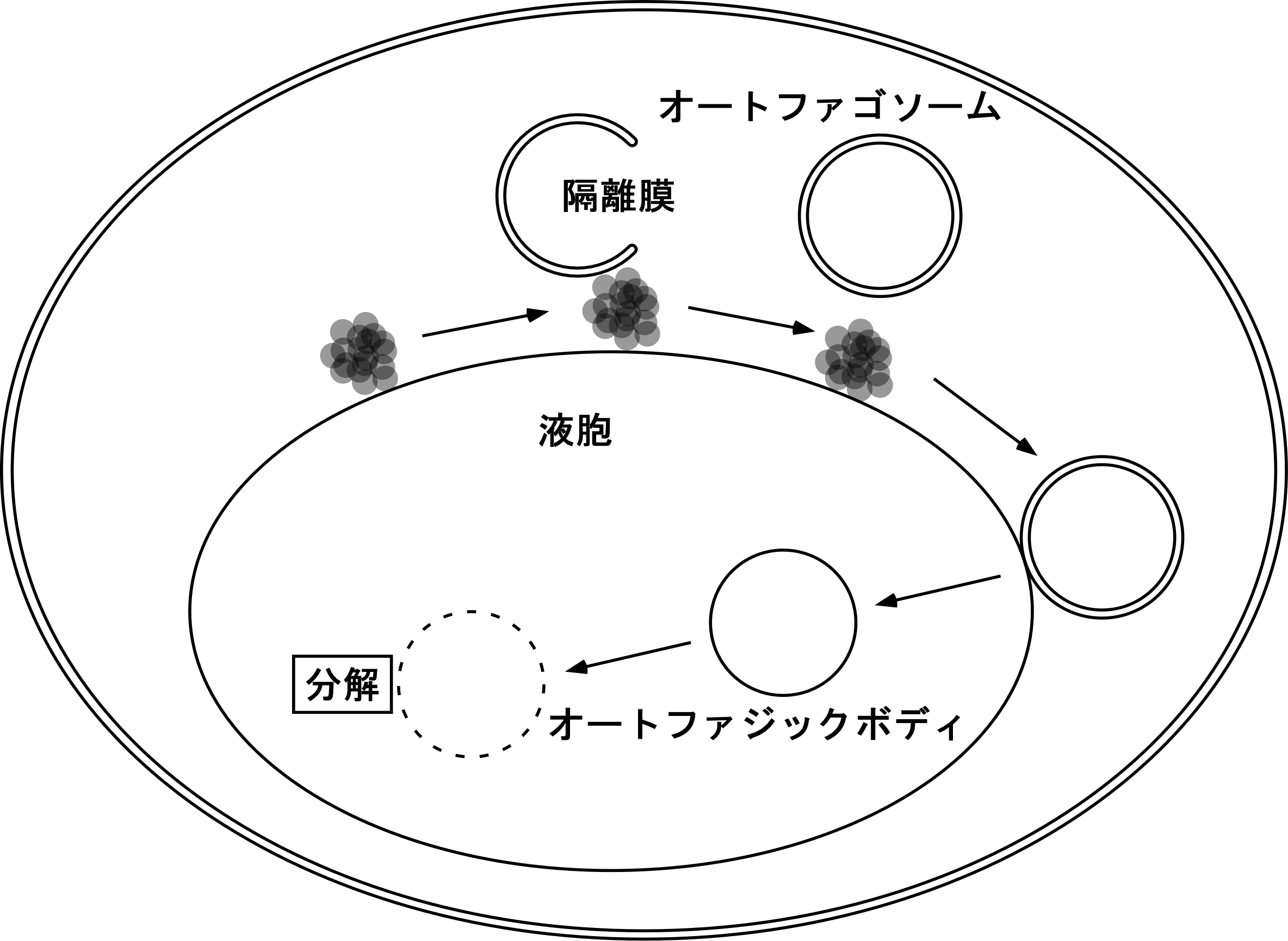 図1