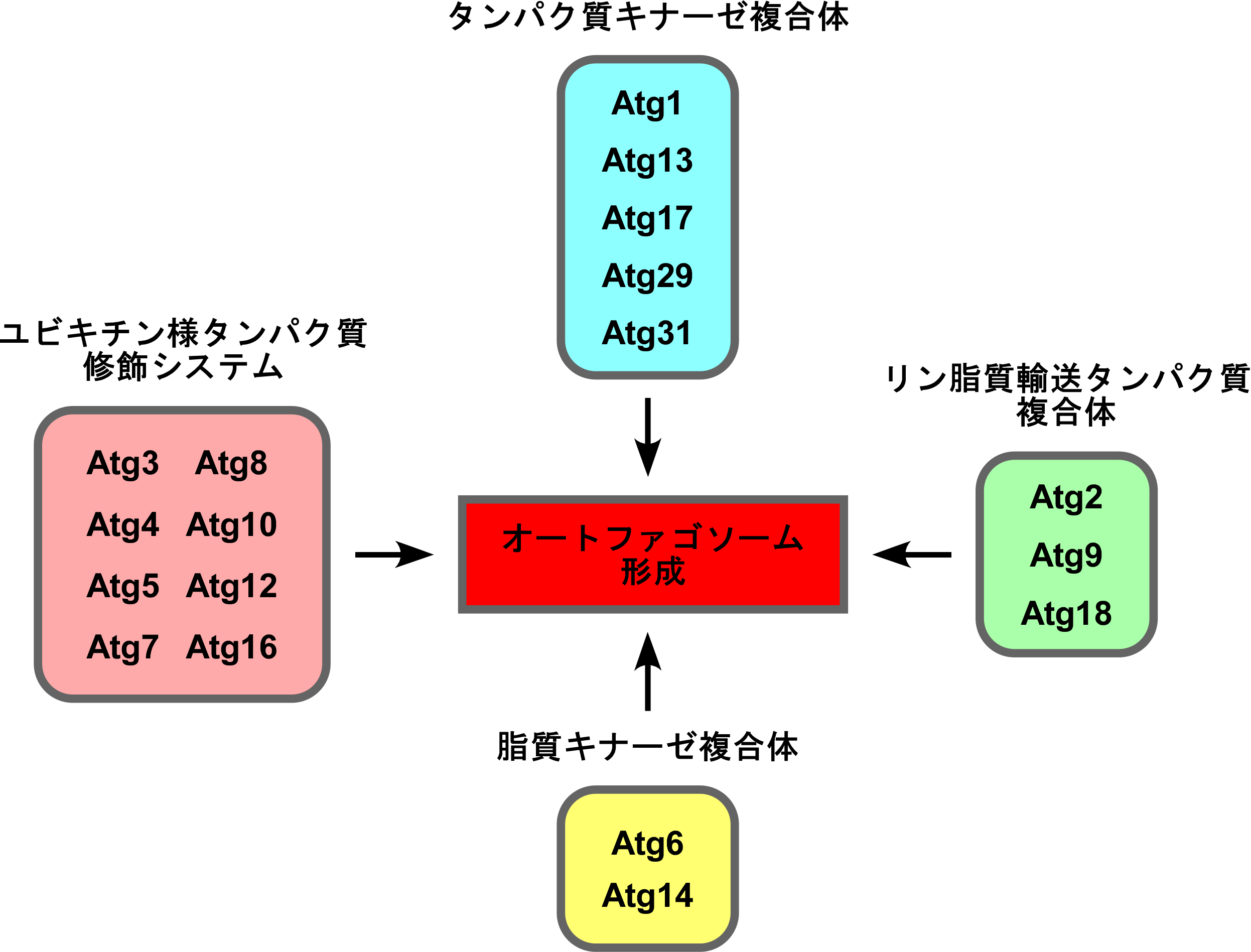 図2