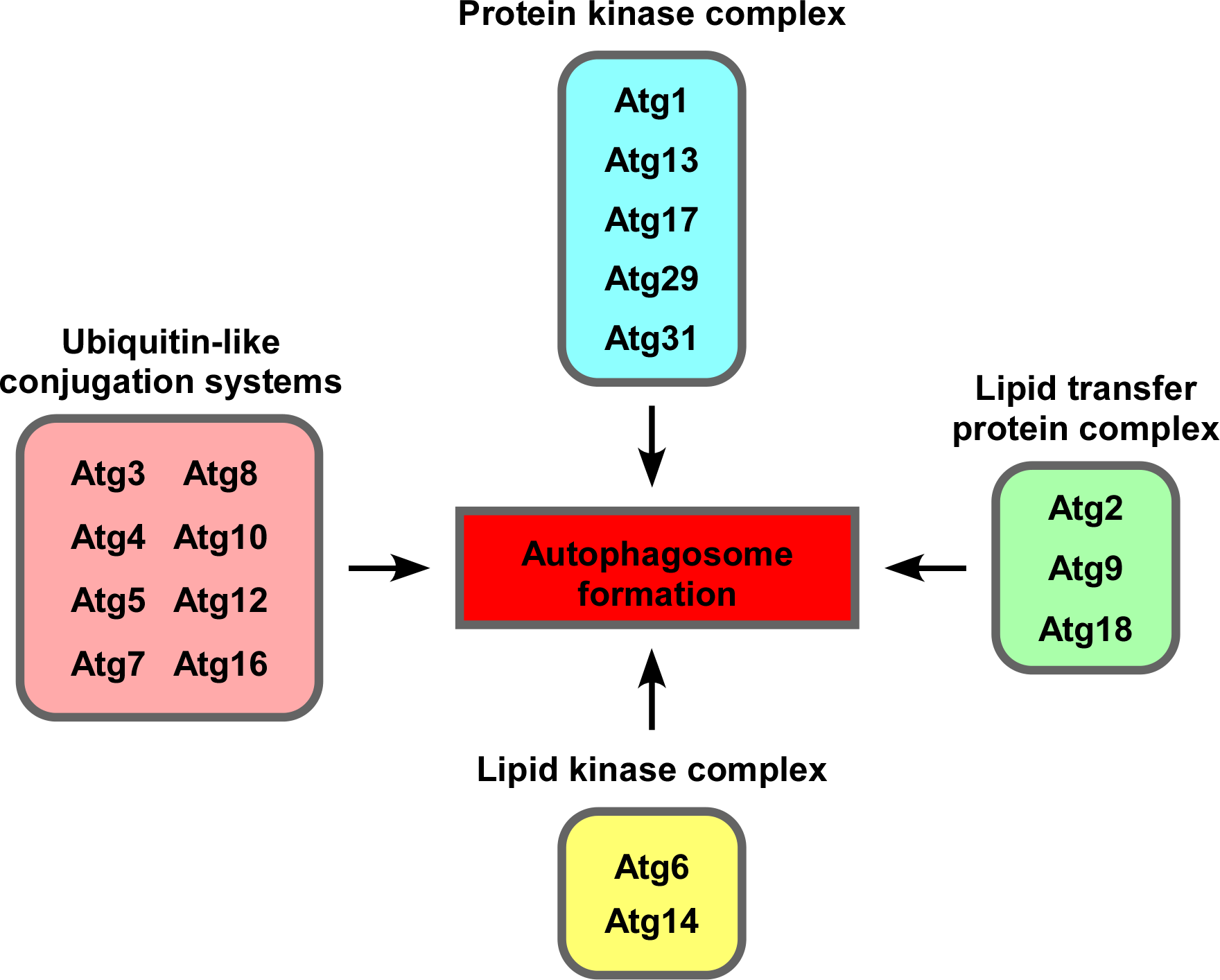 Fig2